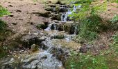 Randonnée Marche Étalle - Vallée de Laclaireau et ruines de Montauban - Photo 9