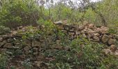 Trail Walking Belgentier - Barres de Belgentier - Photo 1