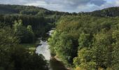 Randonnée Marche Chiny - Semois, rochers et étangs - Photo 8