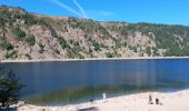 Trail Walking Orbey - Lac noir lac blanc  - Photo 7