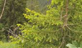 Percorso Marcia Pralognan-la-Vanoise - Rocher de Villeneuve - Photo 8