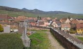 Tour Wandern Mittelweier - Mittelwihr - Nécropole de Sigolsheim - Riquewihr - Hunawihr - Zellenberg - Photo 12