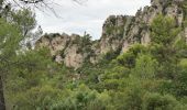 Tocht Stappen La Roquebrussanne - La Roquebrussane - Les Orris - Photo 8