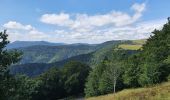 Tocht Stappen Linthal - rdpr lac de la lauch 210810 - Photo 4