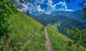 Trail On foot Schenna - Scena - IT-18 - Photo 6