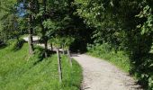 Trail Walking Dobrova-Polhov Gradec - A la découverte du parc Polhograjski Dolomiti 🥾 - Photo 7