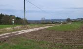 Randonnée Marche Bouillon - Cornimont 100324 - Photo 6