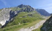 Tocht Stappen Pralognan-la-Vanoise - Pralognan - Col et pointe de leschaux - 17/07/19 - Photo 5