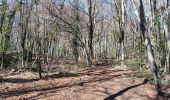 Randonnée Marche Santa Pau - la Garrotxa : volcan Santa Margarida et volcan de Croscat - Photo 15