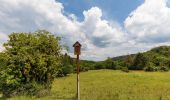 Tour Zu Fuß Dillenburg - Rothaarsteigspur Wacholderweg - Photo 3