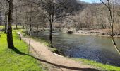 Tour Wandern Dinant - Dinant - Anseremme - Photo 2