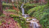 Randonnée A pied Wald (ZH) - Wald - Scheidegg - Photo 1