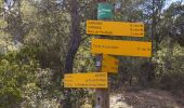 Tour Wandern Aspères - aspere - Photo 5