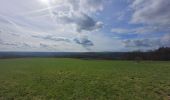 Trail Walking La Roche-en-Ardenne - rando samrée 19-03-2024 - Photo 5