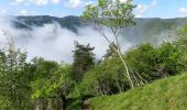 Excursión A pie Brezovica - Rakitna - Vrbica - Photo 4