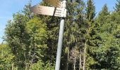 Excursión A pie Gladenbach - Wanderweg E10 / Koppe-Turm - Photo 8