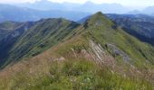 Trail Walking Verchaix - col du jour plane . la bourgeoise . pointe d angolon  . nyon du crot . col de joux  plane  - Photo 6