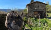 Tour Wandern Fabras - Fabras Jaujac les orgues basaltiques  - Photo 16