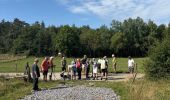 Trail Walking Rochefort - Han-sÃ»r-Lesse - Photo 12