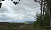 Trail Walking Rendeux - Marcouray - Photo 7