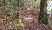 Randonnée Marche Vendôme - Forêt de Vendôme - Bois de l'Oratoire - Photo 18