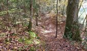 Trail Walking Vendôme - Forêt de Vendôme - Bois de l'Oratoire - Photo 18