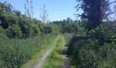 Trail Walking Lokeren - Anders Reizen 2021 Eksaarde - Moervaart wandeling - Photo 12
