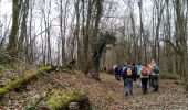 Trail Walking Bouresches - Bouresches du 02-02-2023 - Photo 1