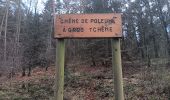 Trail Walking Theux - st roch . wayai . ru chawion . chêne de la vierge . chêne de polleur . hoegne .  sasserotte . château de franchimont  - Photo 14