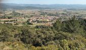 Tour Wandern Puget-Ville - Les Thèmes-27-04-22 - Photo 10