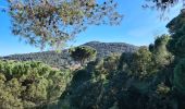 Tocht Stappen Sainte-Maxime - Sainte maxime - le couloubrier - Photo 17