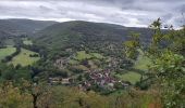 Tour Wandern Faycelles - Étape Faycelle St Sulpice - Photo 11