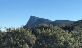 Tour Wandern Cazevieille - Le lac de la Jasse depuis Cazevielle - Photo 5