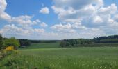 Randonnée Marche Fauvillers - fauvillers 12-05-2025 - Photo 3