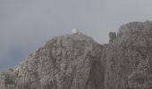 Percorso A piedi Ballabio - Traversata Bassa delle Grigne - Photo 7