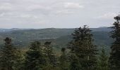 Randonnée Marche Saint-Dié-des-Vosges - Massif de l'Ormont et ses rochers remarquables - Photo 6