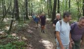 Tocht Stappen Champlecy - champlecy - Photo 8