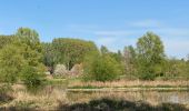 Tour Wandern Anderlecht - Campagne Anderlechtoise  - Photo 12