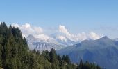 Trail Walking Verchaix - col du jour plane . la bourgeoise . pointe d angolon  . nyon du crot . col de joux  plane  - Photo 9