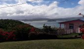 Tocht Stappen La Trinité - La Breche Granjean-Morne Pavillon en boucle  - Photo 6