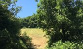 Tocht Stappen Courniou - Prouilhe et la Route forestière de la corniche - Photo 11