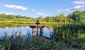 Excursión Senderismo Brinon-sur-Sauldre - Balade dans le domaine des bulles de Sologne - Photo 6