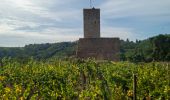 Tour Pferd Zell - Labaroche - kaysesberg - Photo 8