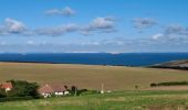 Tocht Stappen Skoale - Escales le cap blanc nez - Photo 2