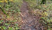 Trail Walking Vendôme - Promenade dans la forêt de Vendôme  - Photo 10