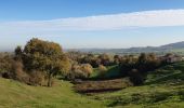 Tocht Stappen Heuvelland - Monts Rouge et Noir - Photo 2