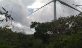 Tocht Stappen Saint-François - Anse à la Baie - Morne Caraïbe - Photo 6