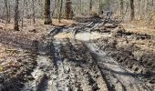 Trail Walking Saint-Hubert - Marche ADEPS Arville - Photo 6