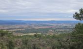 Tocht Stappen Puget-Ville - Puget-ville Sainte Philomène  - Photo 9