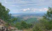 Excursión Senderismo Soultz-Haut-Rhin - Randonnée vers le Vieil Armand - Photo 3